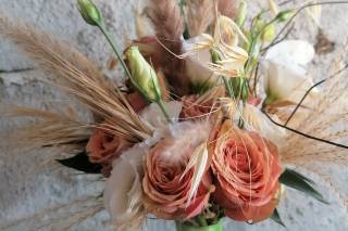 Rosa Antico di Tedoldi Stefania - 5