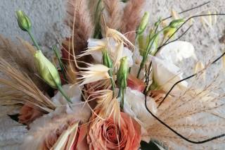 Rosa Antico di Tedoldi Stefania - 6