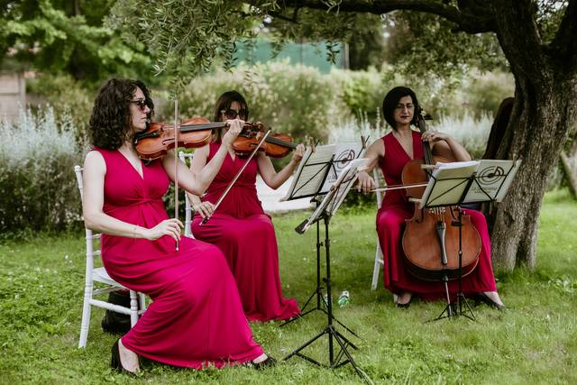 La Semicroma Weddings 4