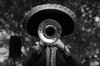 Mariachi Peralta - 8