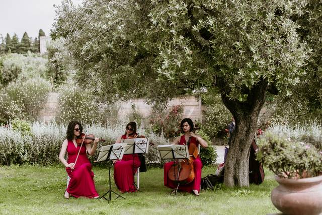 La Semicroma Weddings 5