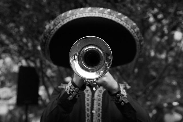 Mariachi Peralta - 4
