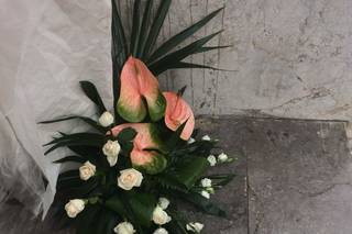 Fiori Nunzio - 12