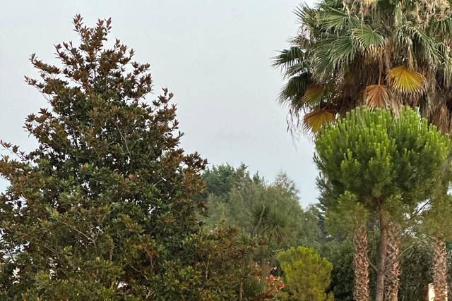 Giardino Del Mago 5