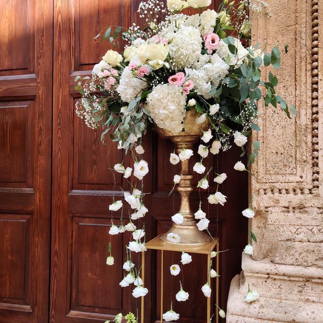 Marina Capolli Design de Flores - 1