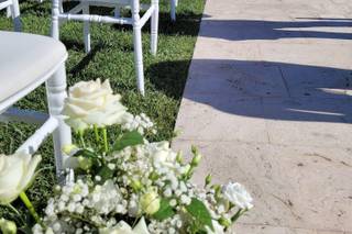 Vivaiosettemetri - 11