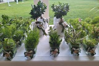 Vivaiosettemetri - 12