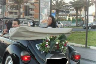 Maggiolone Cabrio - 12