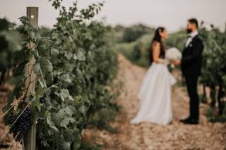 Tenuta Montevitolo - 11