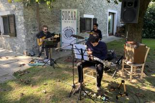 Sugar Worms - 5
