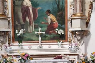Villa Floris - 7
