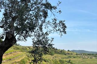 Le Cantorie - 7