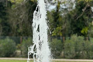 Il Pesco Selvatico - 5