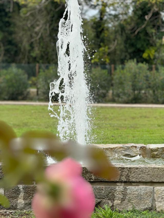 Il Pesco Selvatico - 2