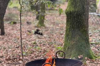 Il Pesco Selvatico - 6