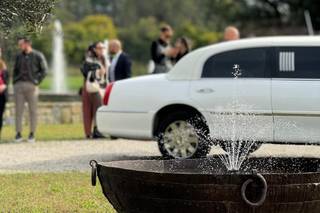 Il Pesco Selvatico - 7