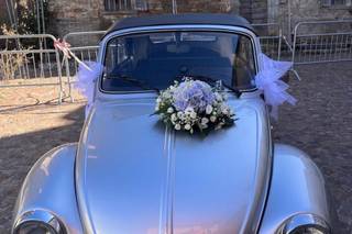 Beetle on dream - 6