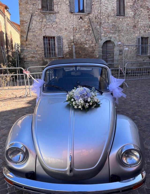 Beetle on dream - 2