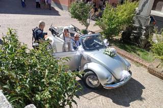 Beetle on dream - 7