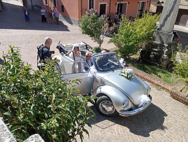 Beetle on dream - 3