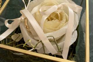 Dolce Confetto - 9