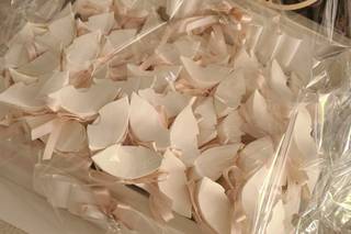 Party Shop Il Giglio - 10