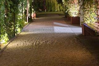 La Fragola de Bosch - 9