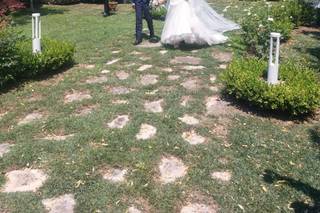 Tenuta Santa Cristina - 5