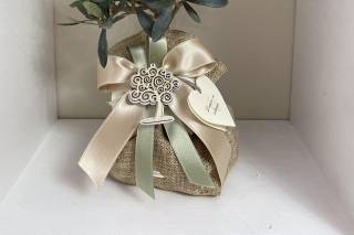 Centro Bonsai Iodice - 12