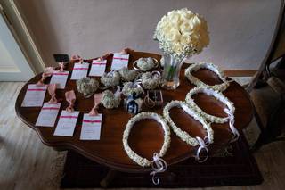 Studio Fotografico Bollea - 6