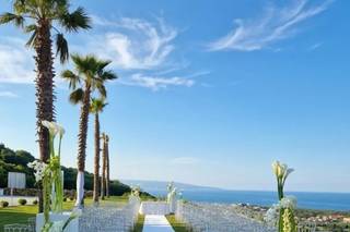 Alba Tropicale - 19