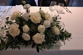 Magnolia di Mazzoli Elisa - 11