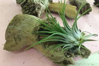 Oh la la di Lorella Massucci - 15