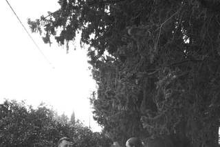 Roberta Angelillo Photography - 5