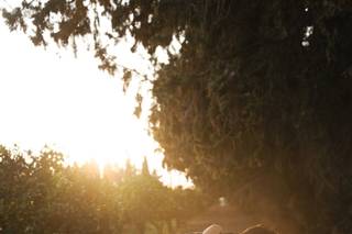 Roberta Angelillo Photography - 6