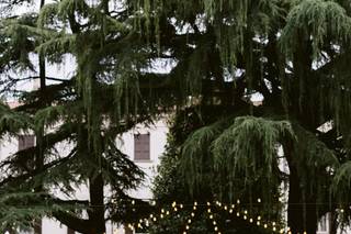 Enrico & Eleonora Photography - 11