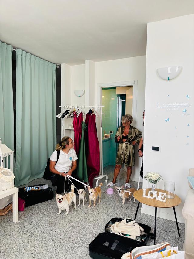 Wedding Dog Specialist Martina Ossola - 2