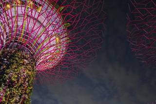 Terra di Mezzo Viaggi - 6