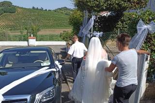 Donati Trasporti e Servizi - 1