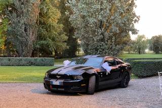 Federico Mustang Modena - 8