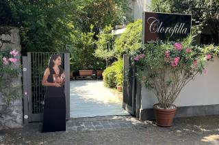 Clorofilla - 5
