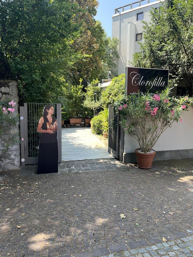 Clorofilla - 2