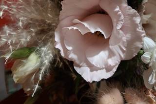 Florgarden di Barlascini Maurizio - 8