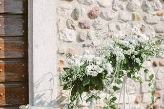 Azienda Floricola - 5