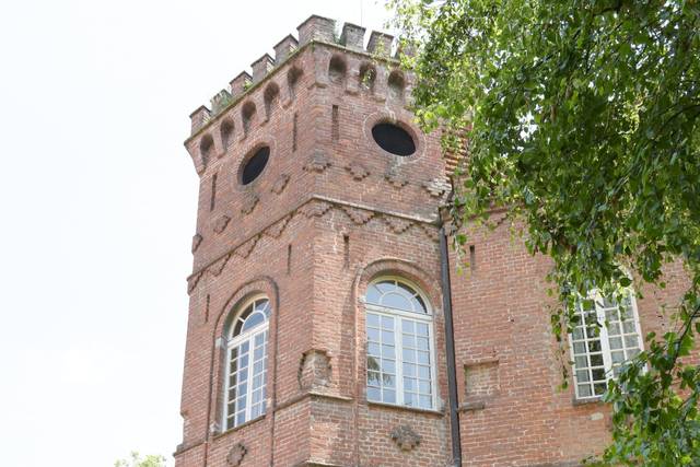 Foto Vettore 2