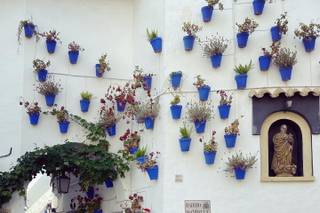 Portobello Travel - 8