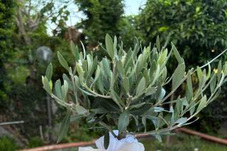 MA:GI Creazioni - 7