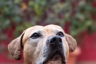 Jessica Di Fresco - 6