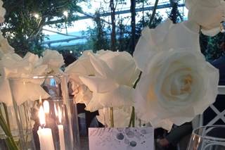 Raffaella events - 16