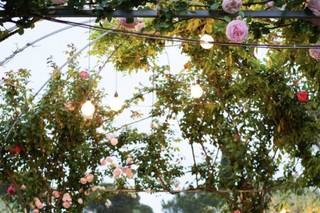 Carmen Renna Wedding - 4